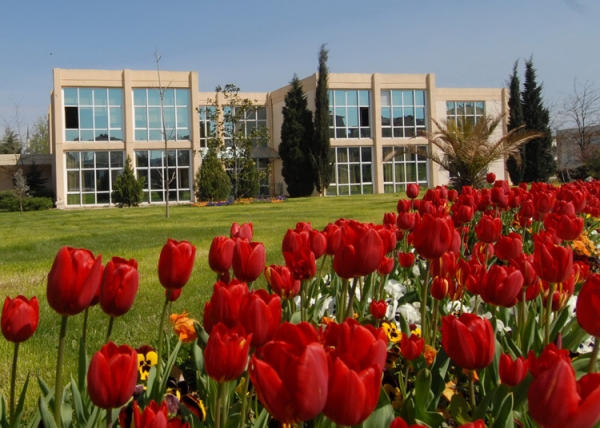 Yaşlı Hizmetleri,yaşlı,hizmetleri