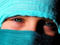 Terminaller ve OtoparklarŞube Müdürlüğü,Terminaller,ve,OtoparklarŞube,Müdürlüğü