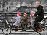 Gelir Takip Şube Müdürlüğü,Gelir,Takip,Şube,Müdürlüğü